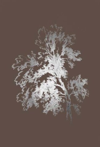 Silver Foil Ash Tree I on Bitter Chocolate