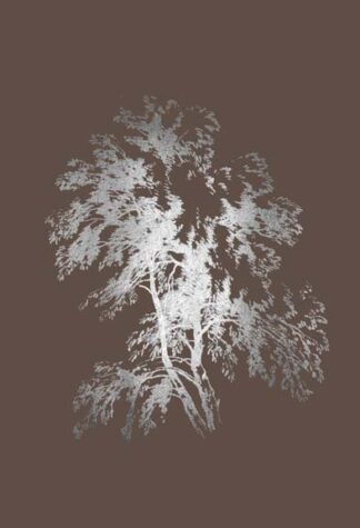 Silver Foil Ash Tree II on Bitter Chocolate