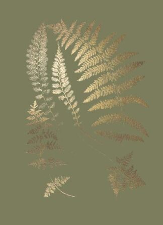 Gold Foil Ferns II on Mid Green