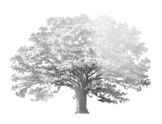 Silver Foil Elephant Tree