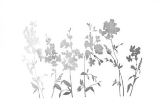 Silver Foil Flower Field