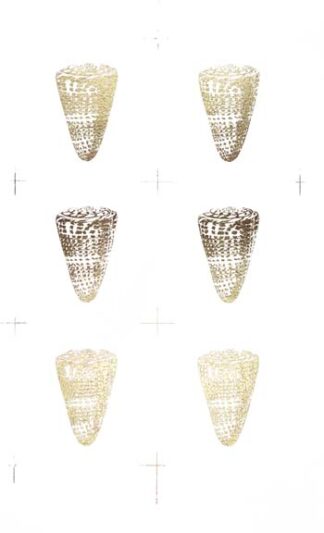 6-Up Gold Foil Shell I