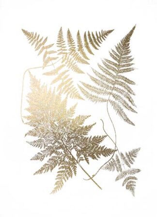 Gold Foil Ferns III