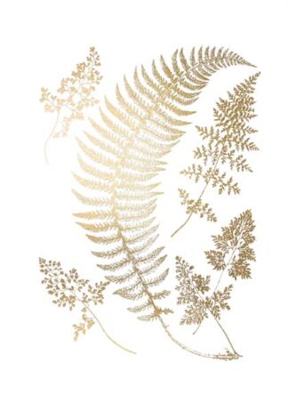 Gold Foil Ferns IV