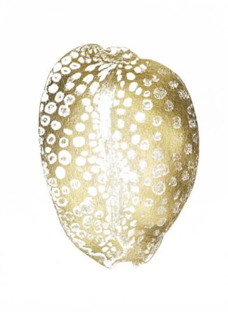 Gold Foil Shell II