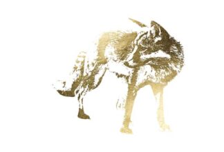 Gold Foil Fox