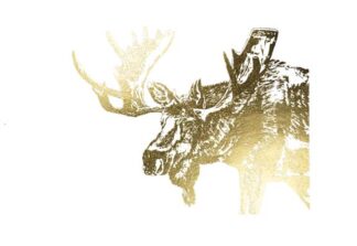 Gold Foil Moose