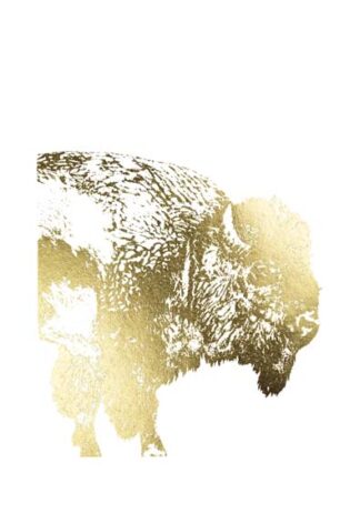 Gold Foil Buffalo
