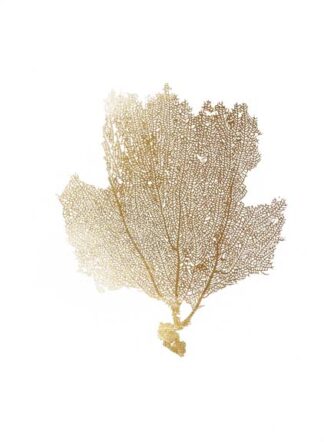 Gold Foil Sea Fan II