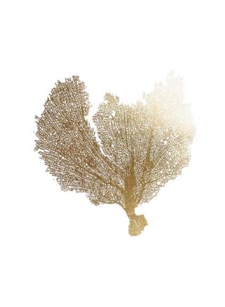 Gold Foil Sea Fan III