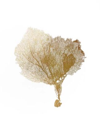 Gold Foil Sea Fan IV