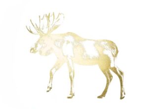 Gold Foil Animale III