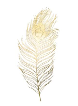 Gold Foil Peacock Feather II