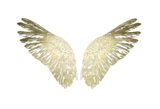 Gold Foil Wings II