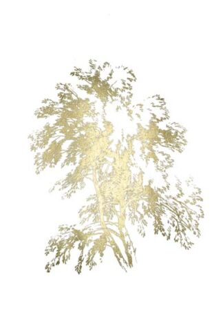 Gold Foil Ash Tree II