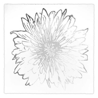 Silver Foil Flower Burst II Deckled