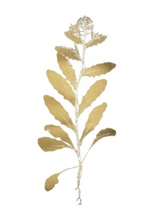 Gold Foil Nature Study IV