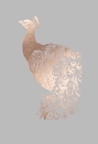 Rose Gold Foil Peacock I on Grey
