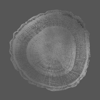 Silver Foil Tree Ring I on Dark Grey