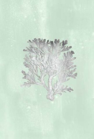 Silver Foil Coral IV on Seafoam Wash